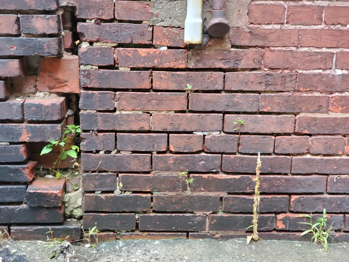 Old brick wall with failed mortar joints, missing brick and weeds growing out of the wall