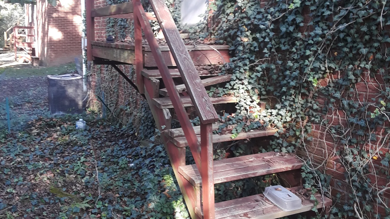 Old wooden exterior stairs overgrown with ivy before removal