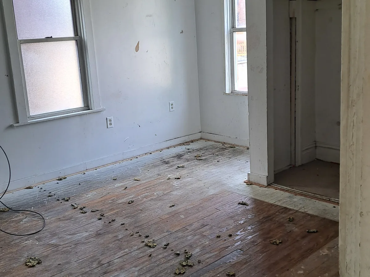 Room cleared out down to bare walls and floorboards after interior demolition