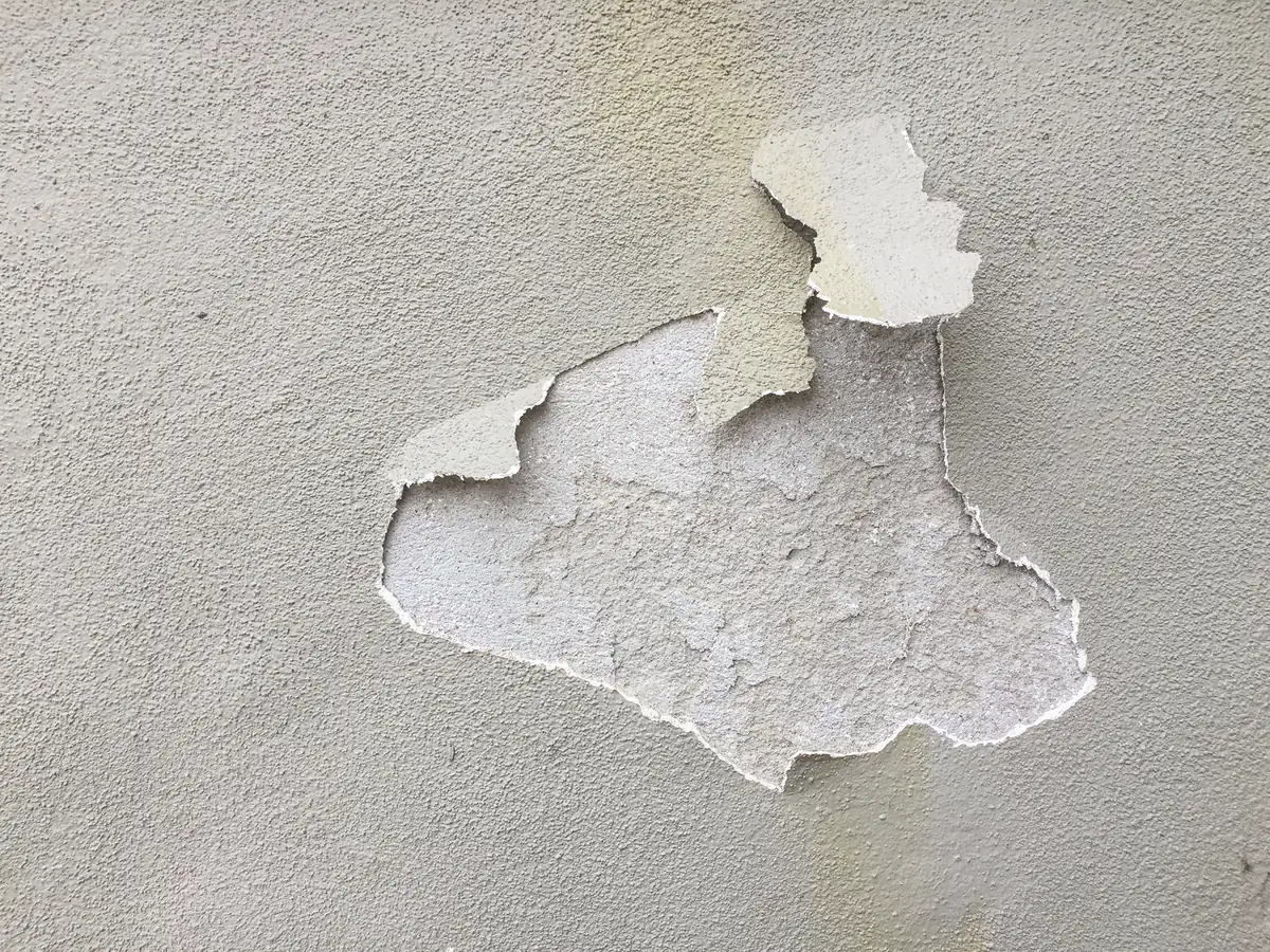 Stucco wall with a large patch of the finish coat delaminated and peeling away